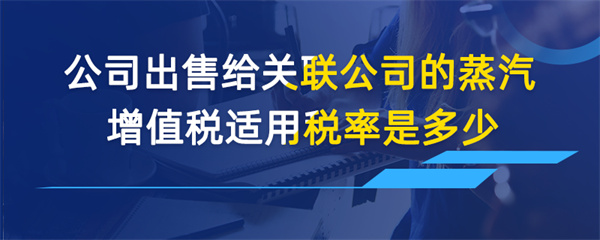 公司出售给关联公司的蒸汽增值税适用税率是多