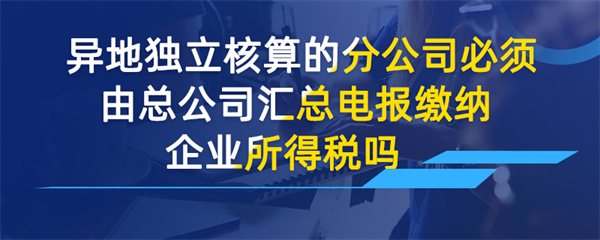 异地独立核算的分公司必须由总公司汇总申报缴